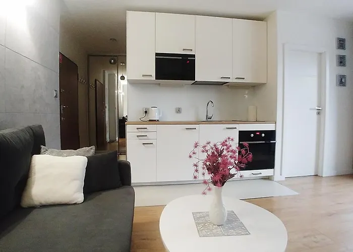 Apartamento Nad Motlawa - Free Parking